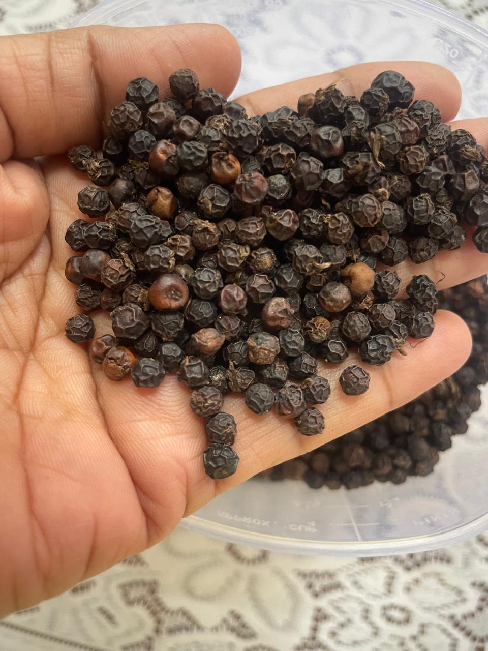 🌿 STEAM BLACK PEPPER – READY FOR EXPORT 🌿